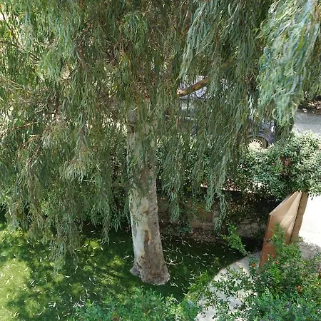 Villa Eucalyptus