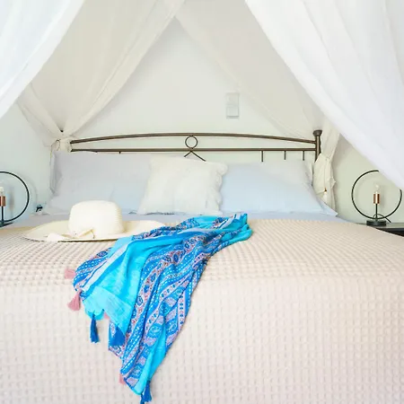 Eucalyptus Villa Gonia